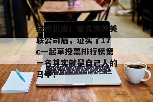 技术扒皮！查完海外关联公司后，证实了17c一起草投票排行榜第一名其实就是自己人的马甲！